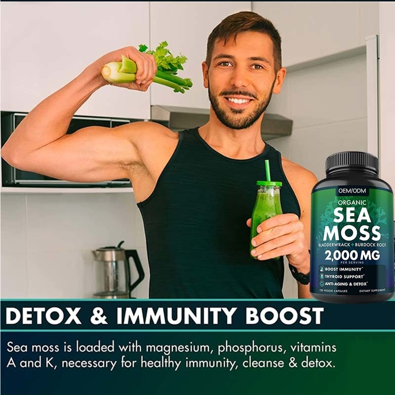 Bezsmakowe kapsułki z organicznego mchu morskiego Wildcrafted Non GMO Sea Moss Raw 60 Bezglutenowe pigułki z mchu morskiego