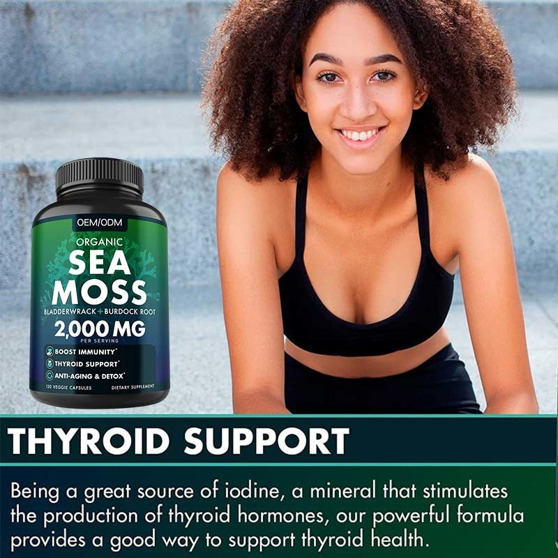 Bezsmakowe kapsułki z organicznego mchu morskiego Wildcrafted Non GMO Sea Moss Raw 60 Bezglutenowe pigułki z mchu morskiego
