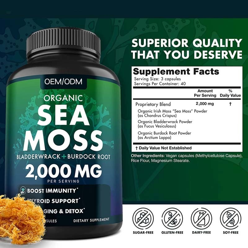 Bezsmakowe kapsułki z organicznego mchu morskiego Wildcrafted Non GMO Sea Moss Raw 60 Bezglutenowe pigułki z mchu morskiego