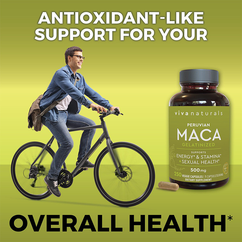 OEM Kapsułki Maca dla mężczyzn Organic Maca Root For Mood Support Maca Capsules