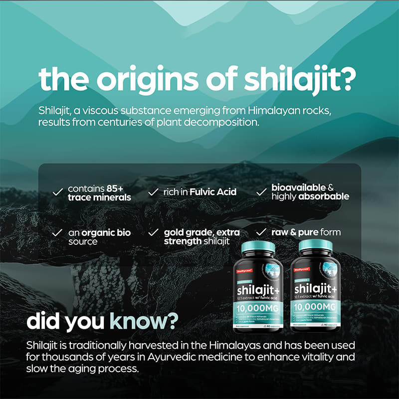 OEM Pure Himalayan Shilajit 10000mg Organic Shilajit Kapsułki dla wsparcia odpornościowego