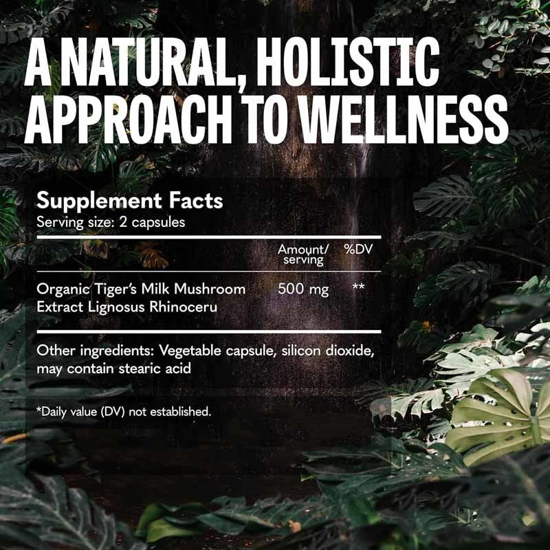 Suplement grzybowy Wzrost włosów Zdrowie jelit Trawienie Mózg Zdrowie płuc Koncentracja poznawcza Oddechowy Grzyby Tygrysie Kapsułki