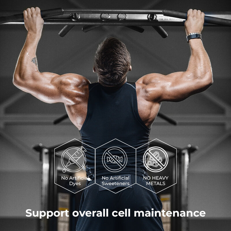 Private Label Shilajit Gummies dla mężczyzn kwas fulwowy suplement bez cukru Utrzymuje normalny poziom energii i funkcje odpornościowe