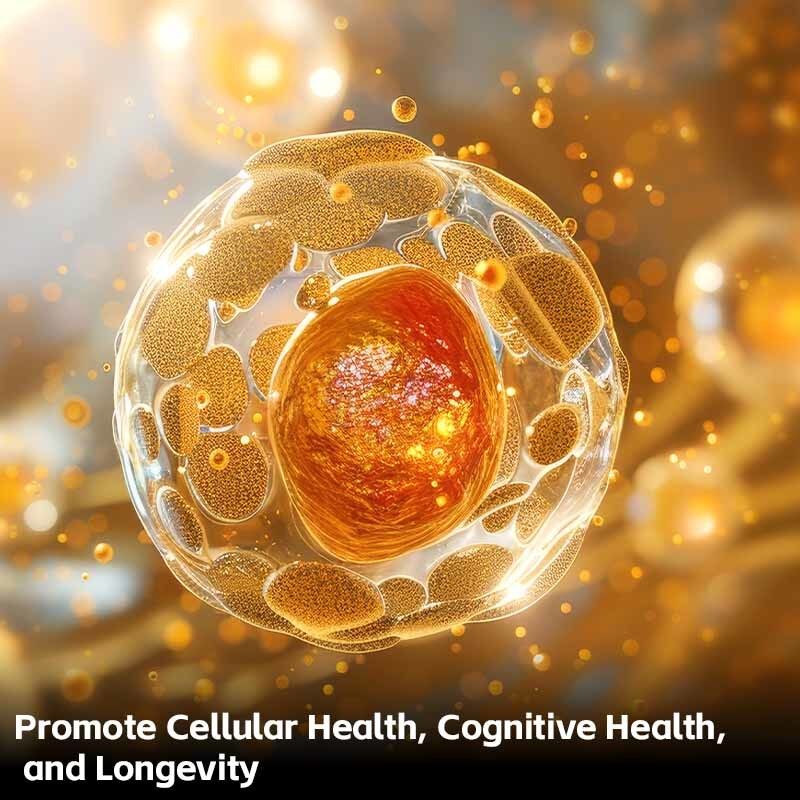 High Purity 99% L-Ergothioneine Capsules for Cellular Wellness Support with OEM Private Label Service