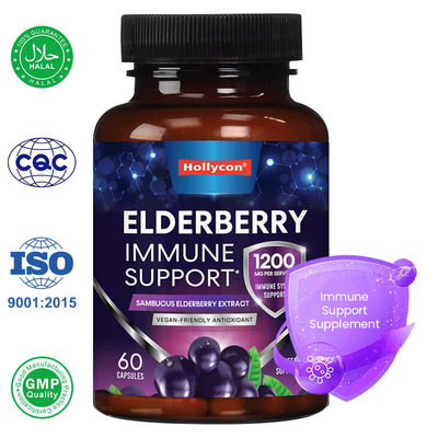Zbudowa Sambucus Black Elderberry Kapsułki Wsparcie odpornościowe Suplement antyoksydant