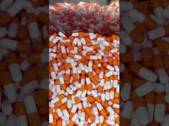 Grzyby Superfood Daily Boost Kapsułki